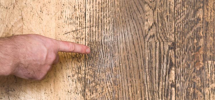 Wood Door Scratch Repair in Lawndale